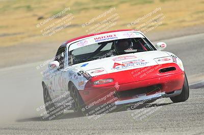 media/May-24-2025-Turn8 Trackdays (Sat) [[034586b55d]]/1 Advanced 2/Session 2 (Cotton Corners-Grapevine)/